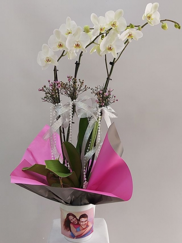 Fotoğraflı Beyaz Orkide 3 Dal