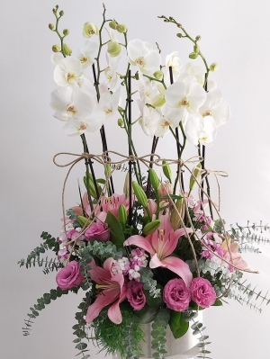 6 Dal Beyaz Orkide Lilyum